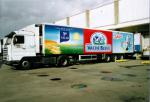 Vache bleue semi